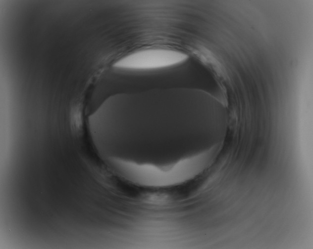 X0000094350500200711162033