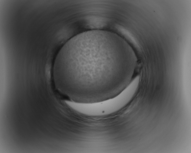 X0000094350501200711162033