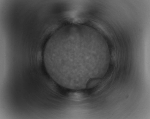 X0000094350506200711162032