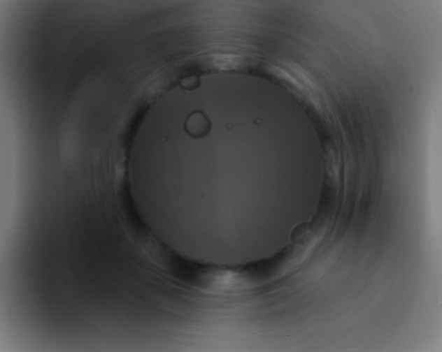 X0000094350507200711162032