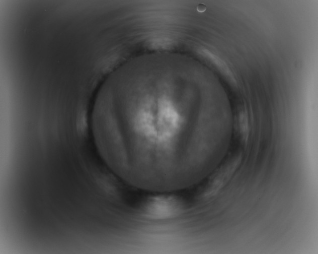 X0000094350508200711162032