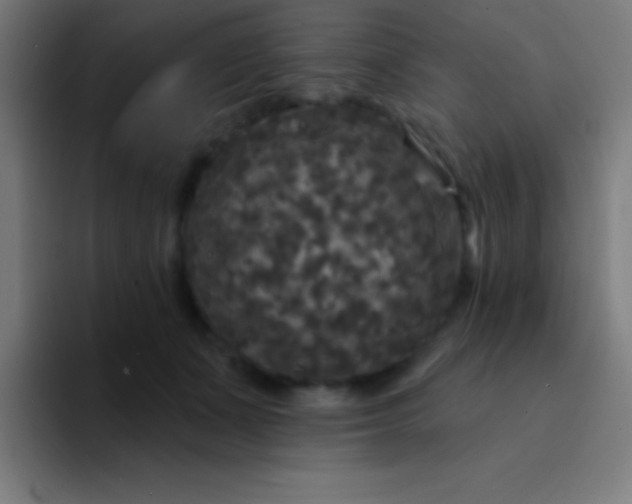 X0000094350511200711162032