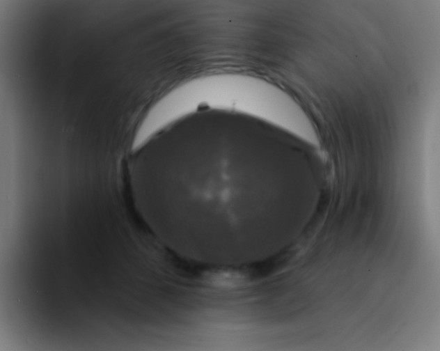 X0000094350512200711162032