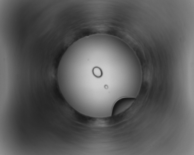 X0000094350518200711162032