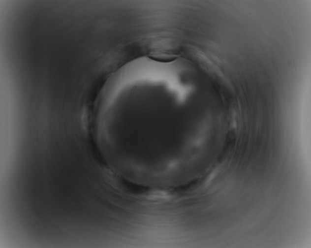 X0000094350519200711162032