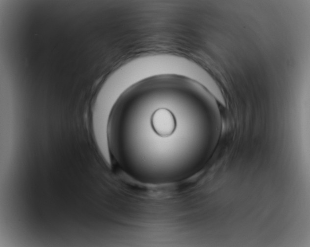 X0000094350520200711162032