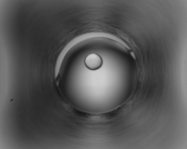 X0000094350521200711162032