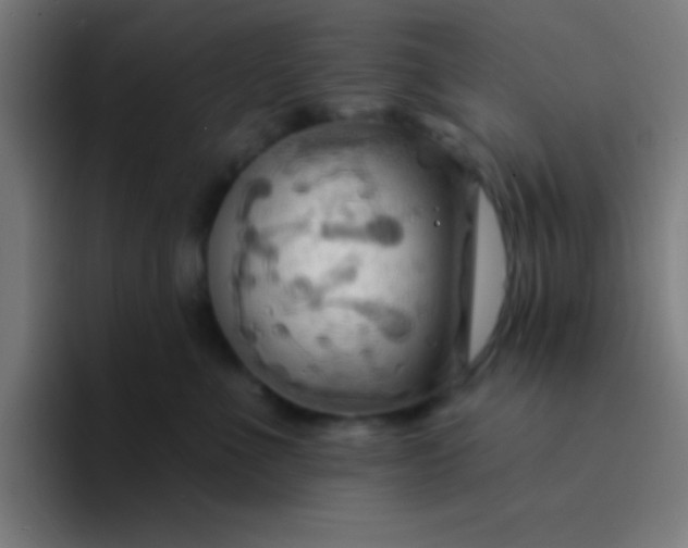 X0000094350523200711162032