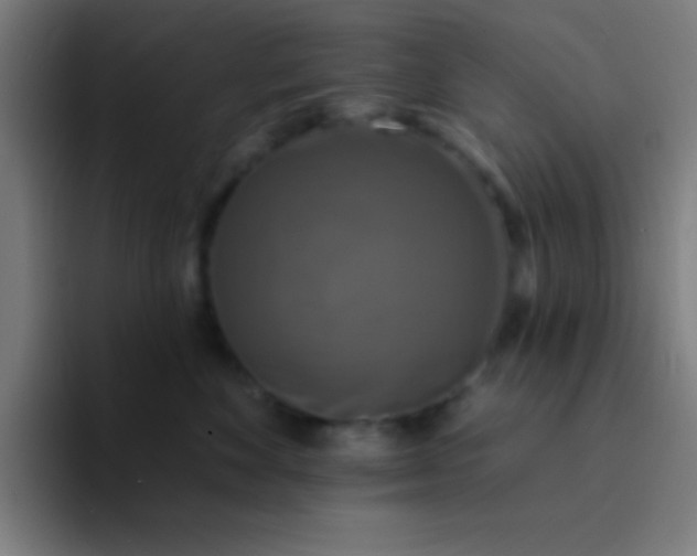 X0000094350524200711162032