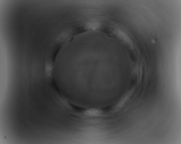 X0000094350526200711162032