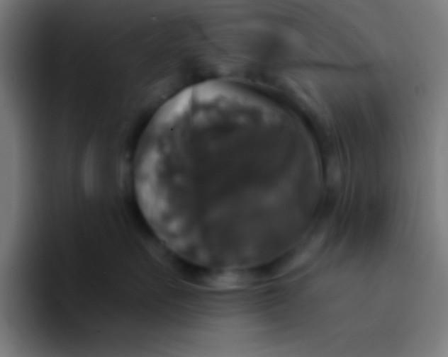 X0000094350527200711162032