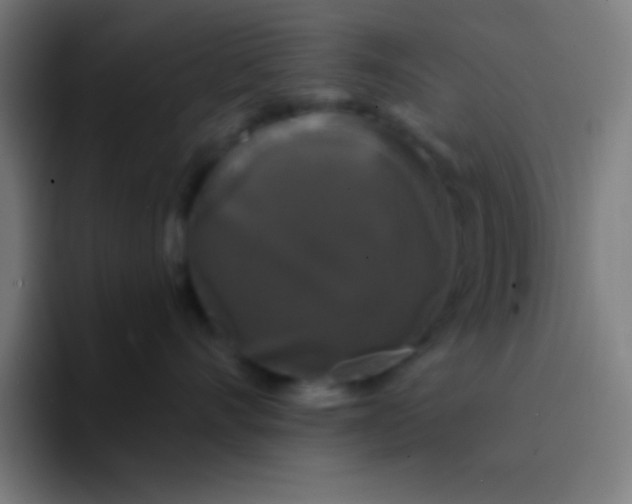 X0000094350528200711162032