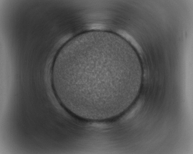 X0000094350529200711162032