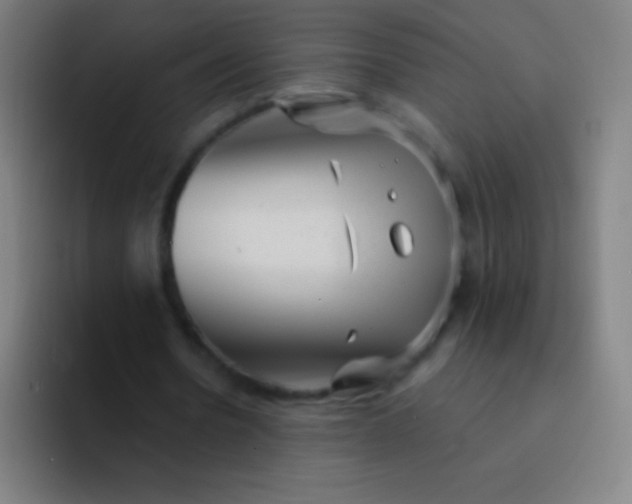 X0000094350530200711162032