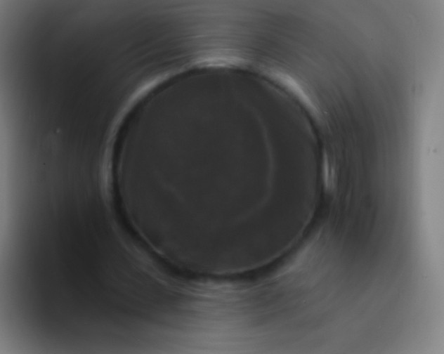 X0000094350531200711162032