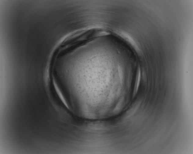 X0000094350532200711162032