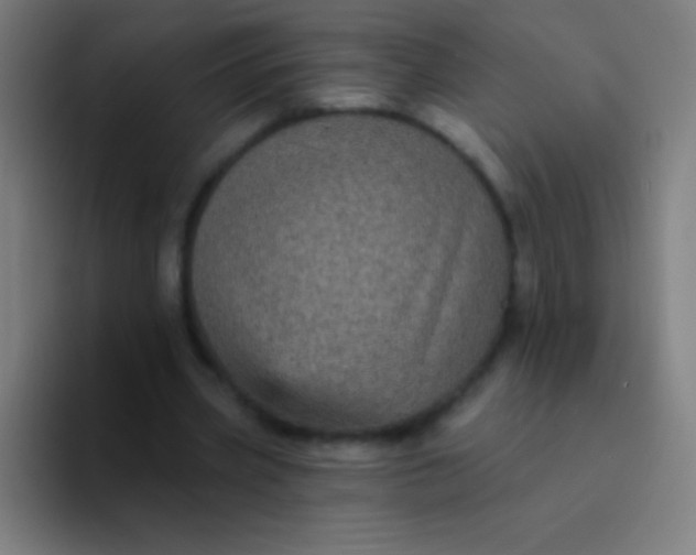 X0000094350533200711162032