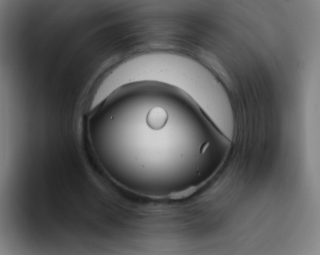 X0000094350534200711162032