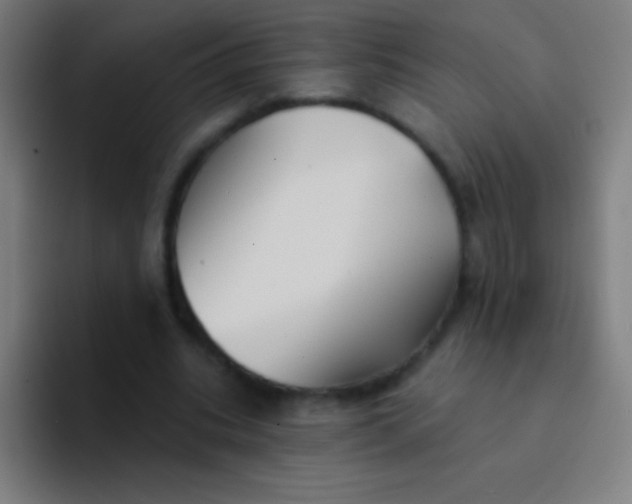 X0000094350535200711162032