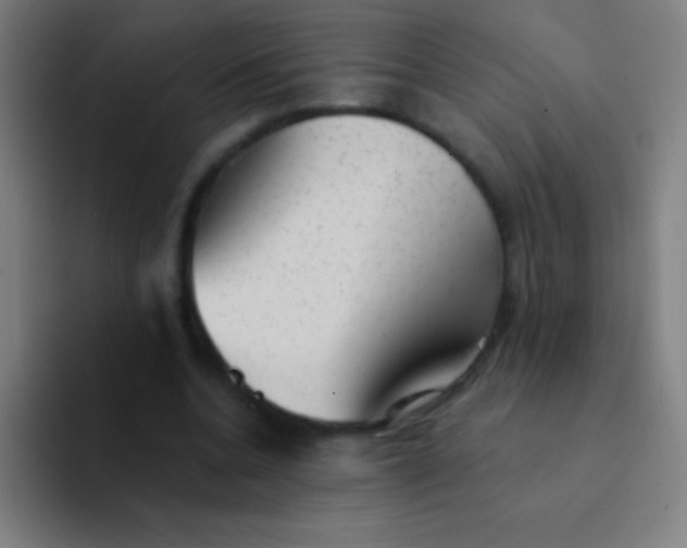 X0000094350536200711162032