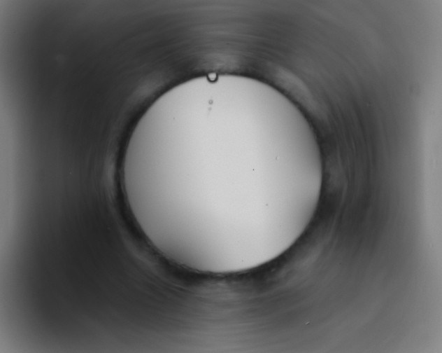 X0000094350538200711162032