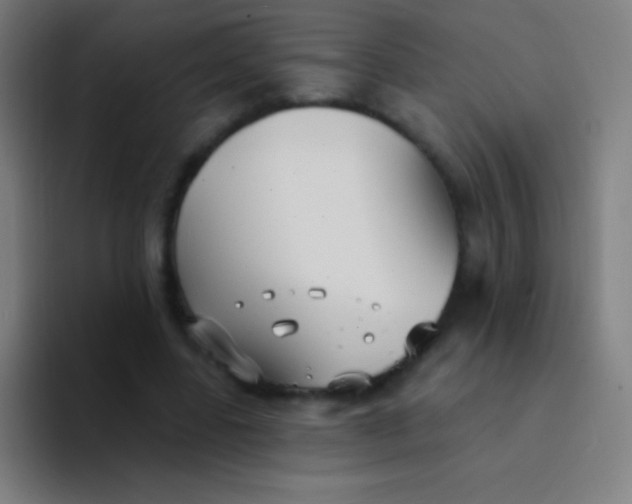 X0000094350539200711162032