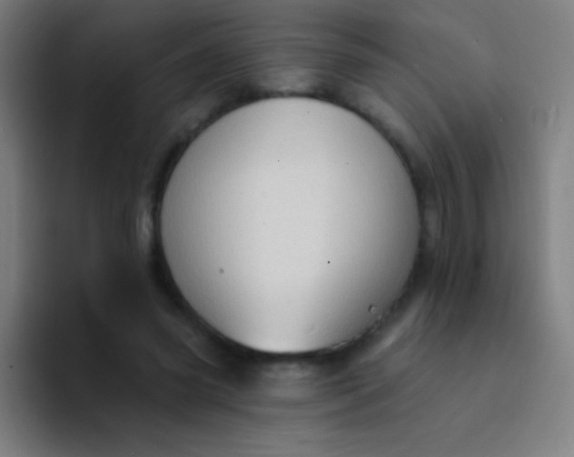 X0000094350541200711162032