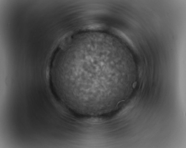 X0000094350542200711162032