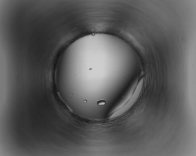 X0000094350543200711162032