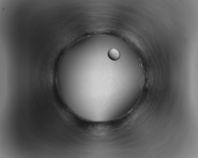 X0000094350546200711162032