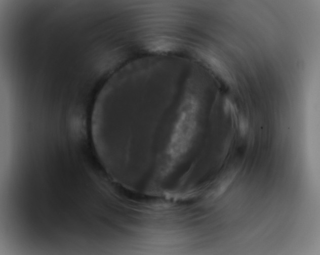 X0000094350547200711162032