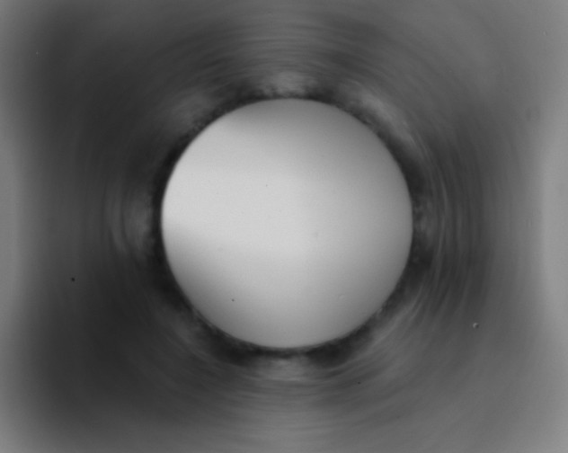 X0000094350548200711162032