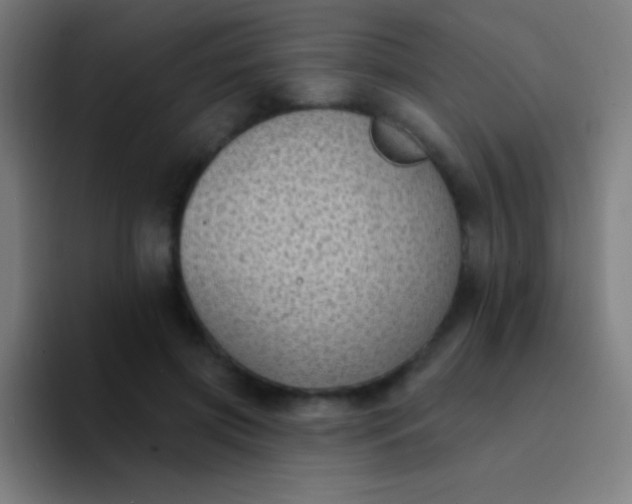 X0000094350549200711162032