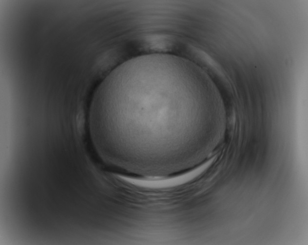 X0000094350552200711162032