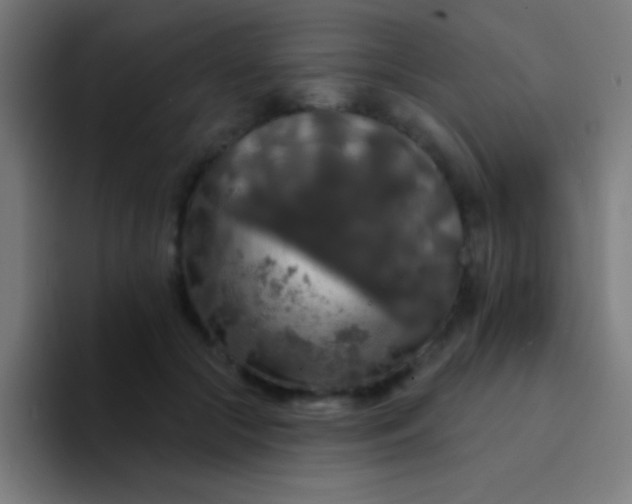 X0000094350553200711162032