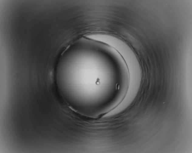 X0000094350556200711162032