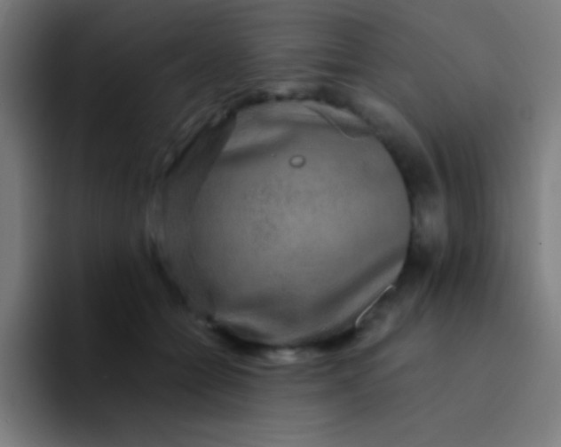 X0000094350558200711162032