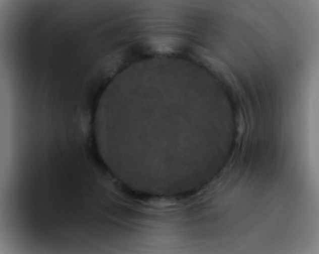 X0000094350559200711162032