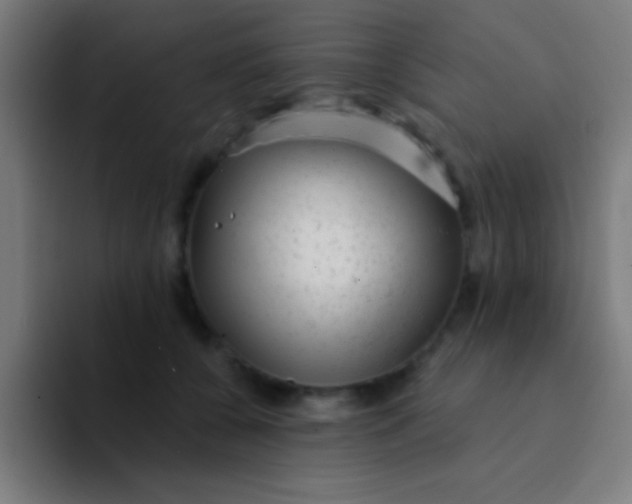 X0000094350560200711162032