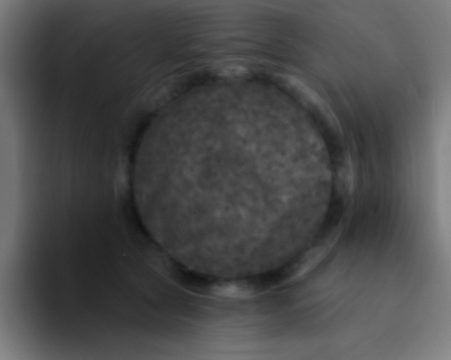 X0000094350561200711162032