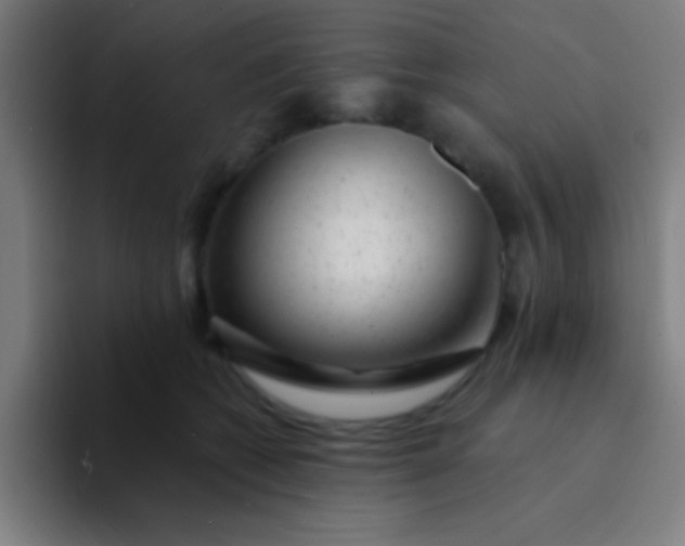 X0000094350562200711162032