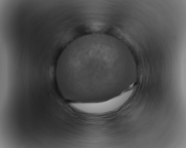 X0000094350563200711162032