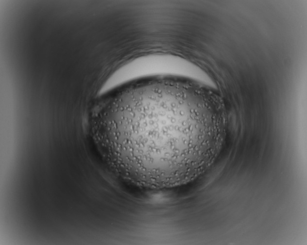 X0000094350564200711162032