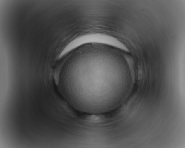 X0000094350566200711162032