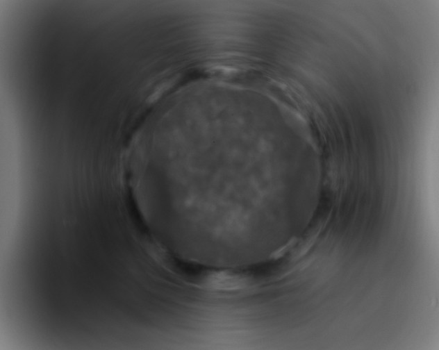 X0000094350568200711162032