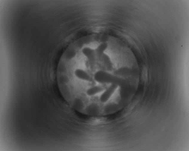 X0000094350569200711162032