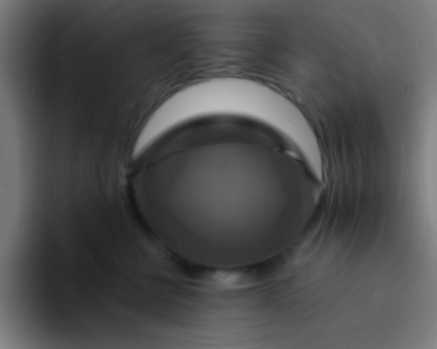 X0000094350570200711162032