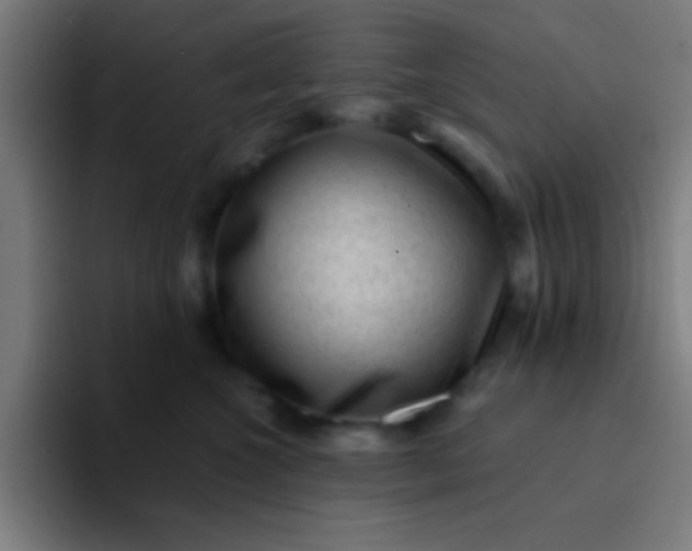 X0000094350572200711162032