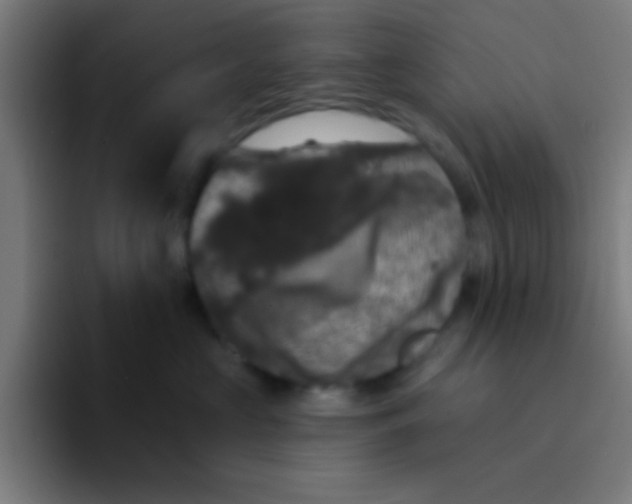 X0000094350573200711162032