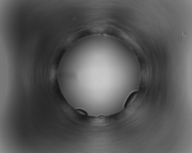 X0000094350574200711162032